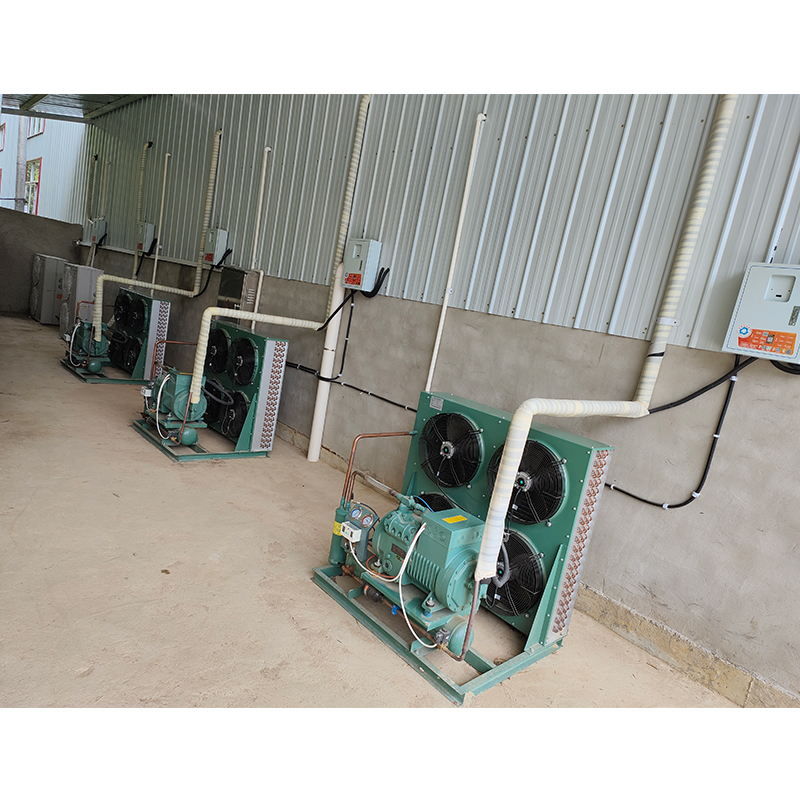 Customized Cold Storage