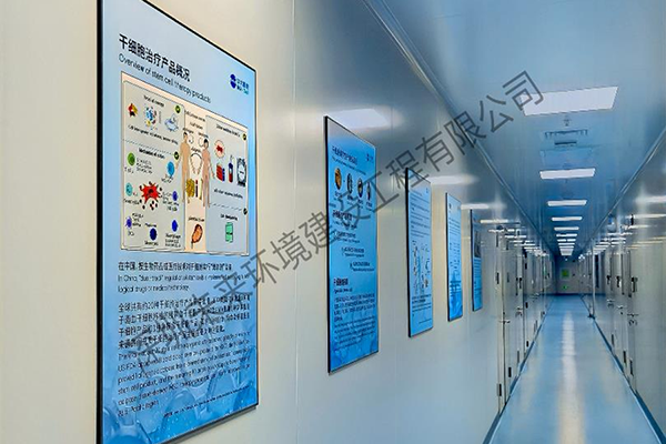 Shenzhen BGI Cell Technology Co., Ltd.