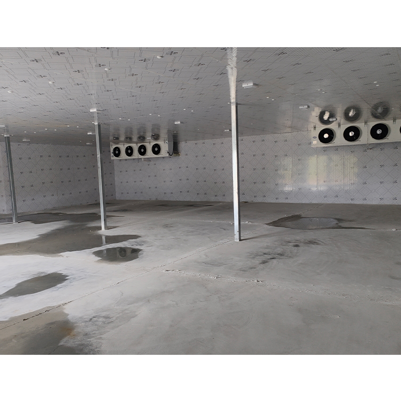 Customized Cold Storage
