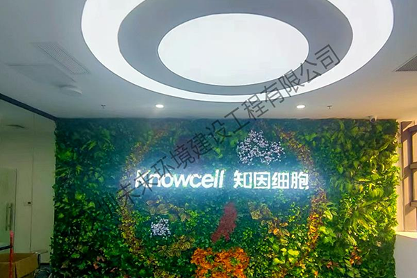 Shenzhen Zhiyin Cell Biotechnology Co., Ltd.