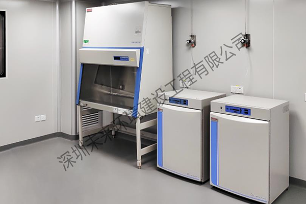 Shenqi Life Science (Fujian) Co., Ltd.