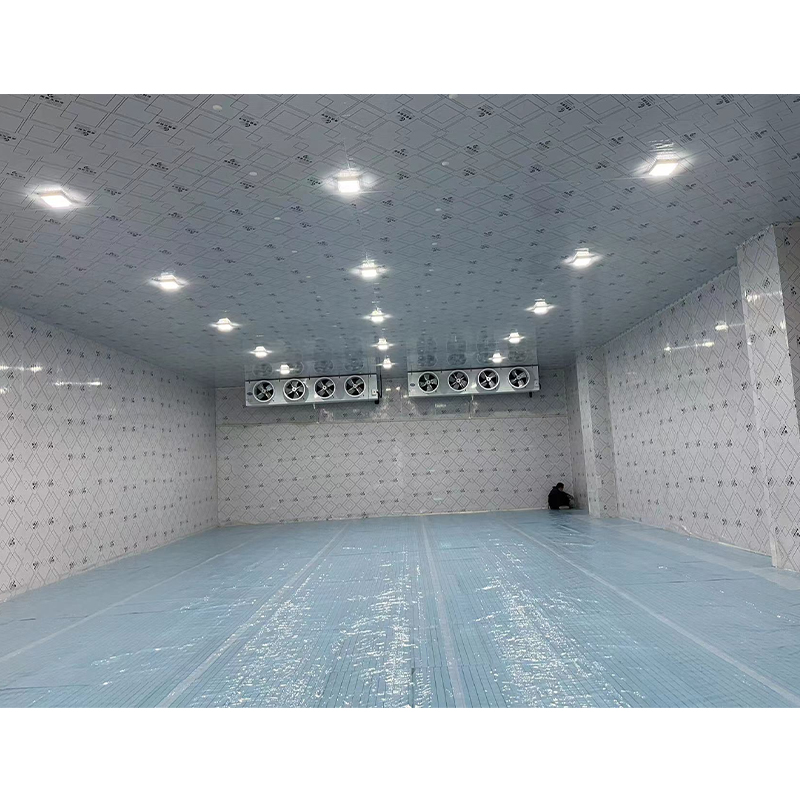 Can customized cold storage meet the diverse temperature requirements of fresh-keeping, refrigeration, freezing, and deep-freezing?